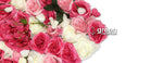 Muro Floral