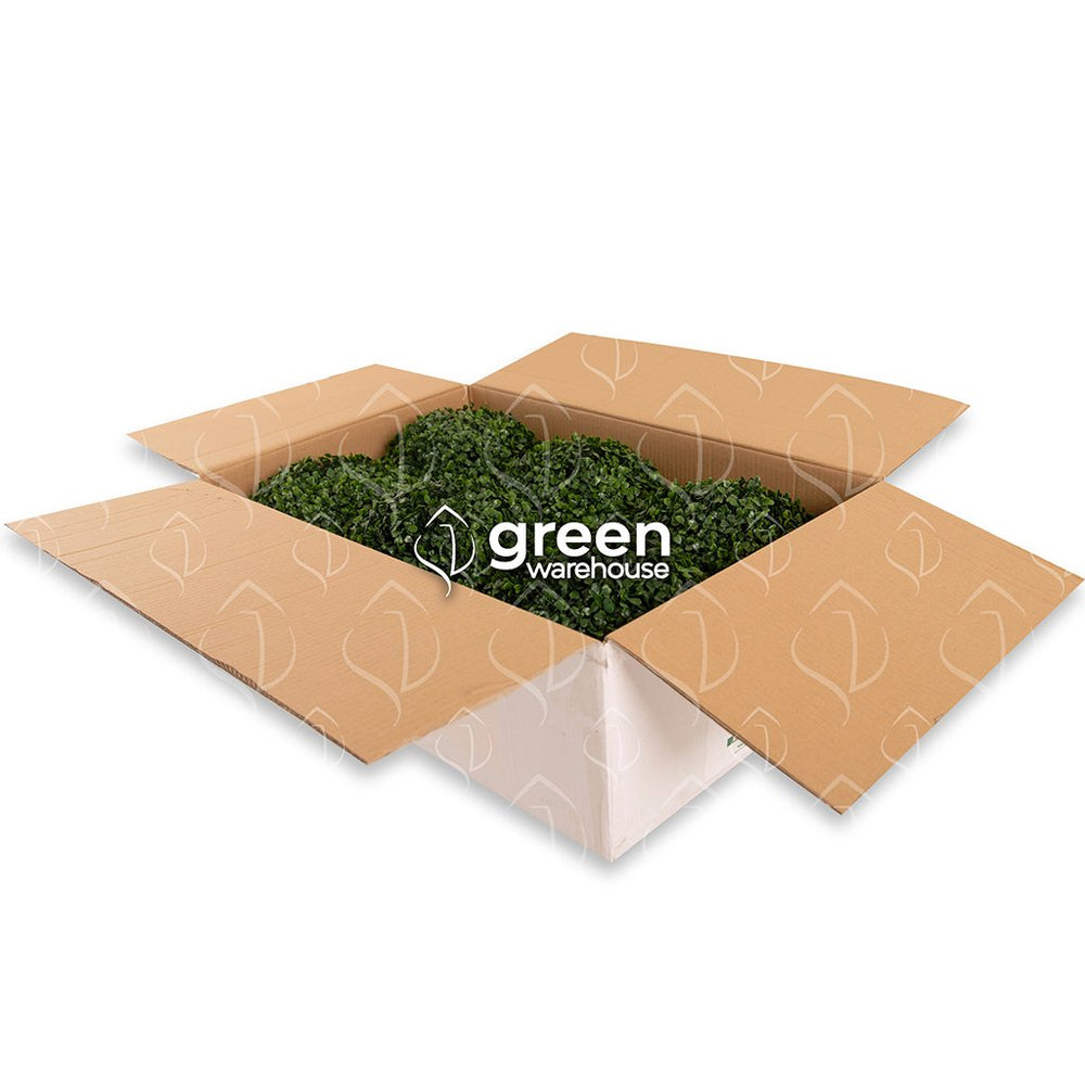 Estas esferas ornamentales están diseñadas para mejorar tus espacios, aportando un toque moderno de naturaleza. La esfera de 28cm es perfecta para decorar espacios, debido a su tamaño puede ir colgada o en pequeñas macetas, tazones o simplemente sobre el mostrados, mesa o escritorio. Hacemos envíos a toda la República Mexicana. 