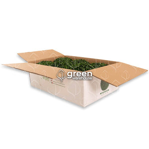 Estas esferas ornamentales están diseñadas para mejorar tus espacios, aportando un toque moderno de naturaleza. La esfera de 28cm es perfecta para decorar espacios, debido a su tamaño puede ir colgada o en pequeñas macetas, tazones o simplemente sobre el mostrados, mesa o escritorio. Hacemos envíos a toda la República Mexicana. 