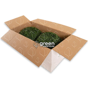 Estas esferas ornamentales están diseñadas para mejorar tus espacios, aportando un toque moderno de naturaleza. La esfera de 48cm es perfecta para decorar espacios, debido a su tamaño puede ir colgada o en macetas, tazones o simplemente sobre el mostrados, mesa o escritorio. Hacemos envíos a toda la República Mexicana
