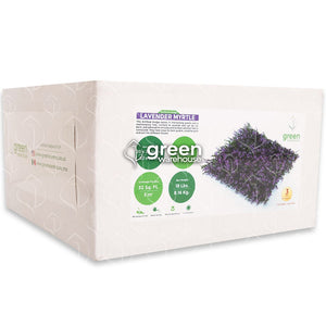 El follaje Arrayan Morado para Muro Verde, tiene pequeñas hojas de color verde con puntas de color morado que alegrarán cualquier espacio. Ideal para combinar con cualquier otro modelo de Follaje, por medio de un diseño de follaje personalizado. 