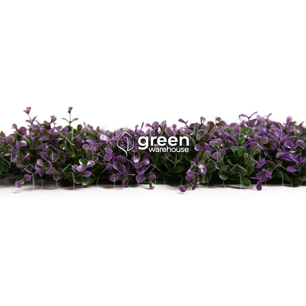 El follaje Arrayan Morado para Muro Verde, tiene pequeñas hojas de color verde con puntas de color morado que alegrarán cualquier espacio.