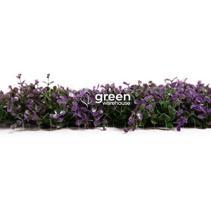 El follaje Arrayan Morado para Muro Verde, tiene pequeñas hojas de color verde con puntas de color morado que alegrarán cualquier espacio.