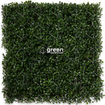 Boxwood - 1m²