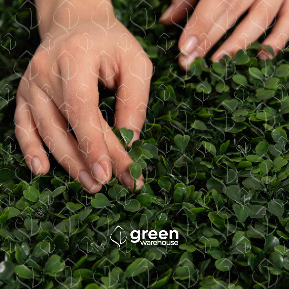 El Follaje Artificial Boxwood es la mejor opción para combinarlo con otros estilos en un diseño de Muro Verde personalizado, ya que tiene una hoja pequeña de color verde oscuro y una agradable textura que le da una apariencia uniforme y armónica con otros estilos de follaje. 