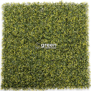 El Follaje Boxwood Real, es ideal para espacios en donde se requiera dar una apariencia tersa y homogénea, además para realizar contrastes en combinación con follajes o texturas de hojas más grandes, dando como resultado asombrosos diseños de Muro Verde personalizados. 