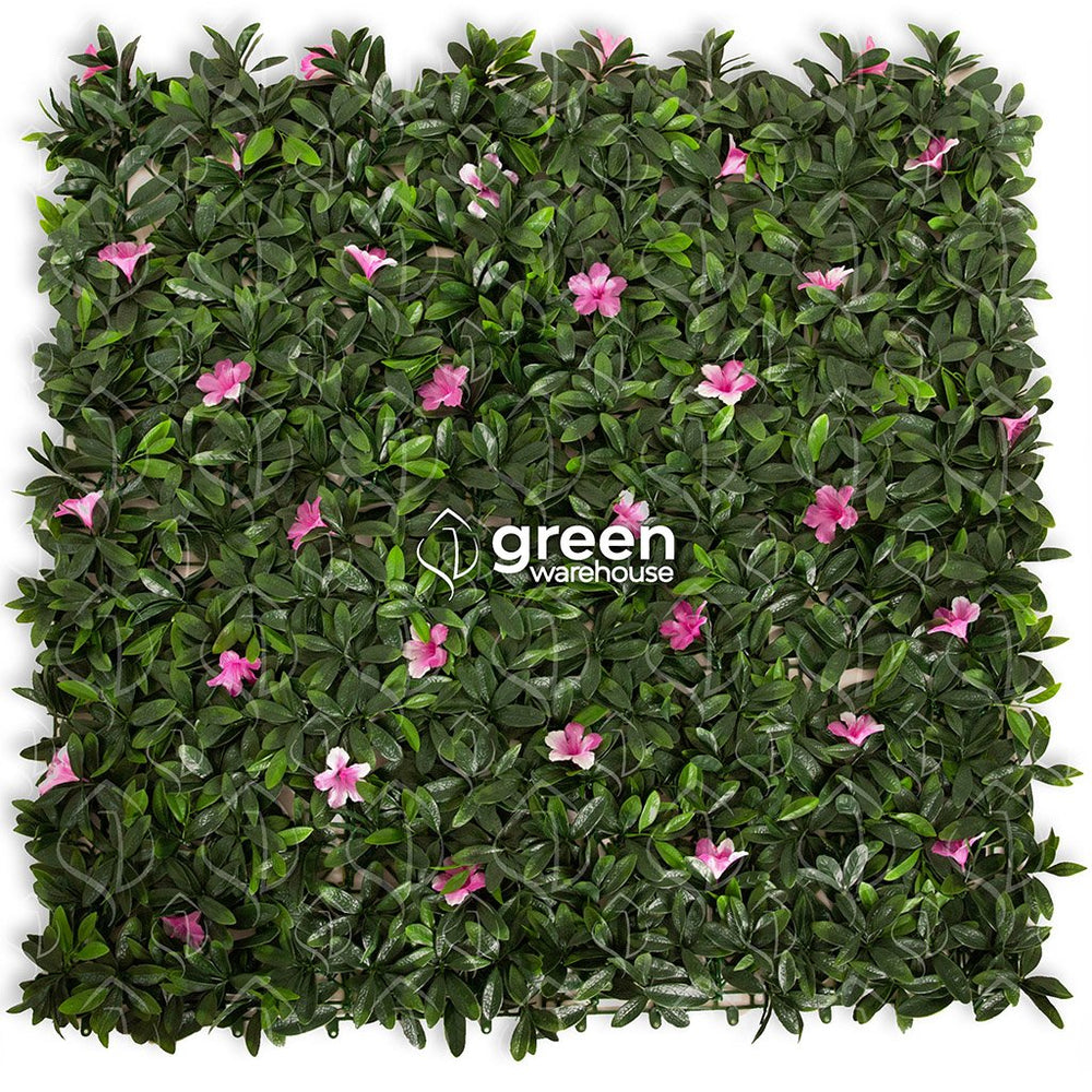 Azalea - 1m²