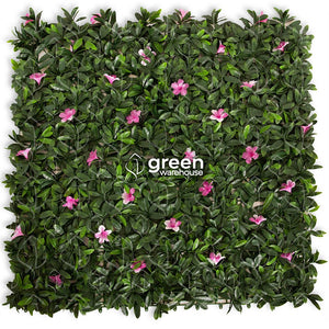 Azalea - 1m²