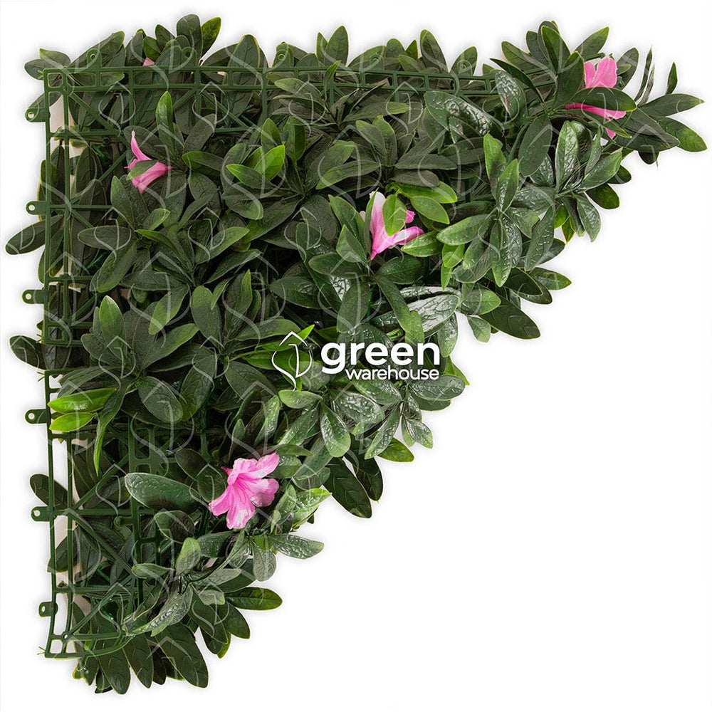 Azalea - 1m²