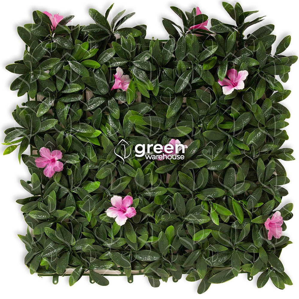 Azalea - 1m²