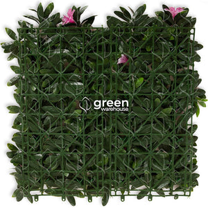 Azalea - 1m²