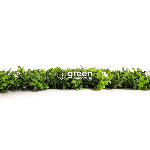 El Follaje Artificial Flor de Arrayan tiene pequeñas hojas de color verde oscuro con puntas de color verde brillantes. La peculiaridad de este modelo son sus flores blancas que agregan otra característica fresca y original.