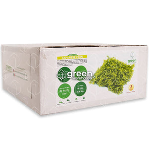 El Follaje Artificial Helecho Japonés los caracteriza su acabado texturizado con un color amarillo verdoso para lograr la apariencia fresca de helecho. Llena de vida y contrasta perfectamente con colores fuertes y oscuros, generando una atmósfera de humedad y frescura, así como un realismo sin igual. Es la opción favorita para diseñar Muros Verdes a lado de otros follajes para lograr la armonía y el aspecto que se busca. Hacemos envíos a todo México.