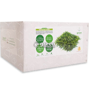 El Follaje Artificial Helecho Persa es muy espeso y con un gran detalle, tiene un acabado texturizado muy exuberante y un color verde brillante. Este modelo es el que cuenta con la mayor altura y ramas más largas de toda nuestra colección, lo que le da un aspecto muy atractivo a la vista. Por si solo puede resaltar completamente, no obstante, la combinación con follajes de hojas más pequeñas lo hacen lucir en cualquier espacio, creando Muros Verdes sorprendentes. Hacemos envíos a todo México. 
