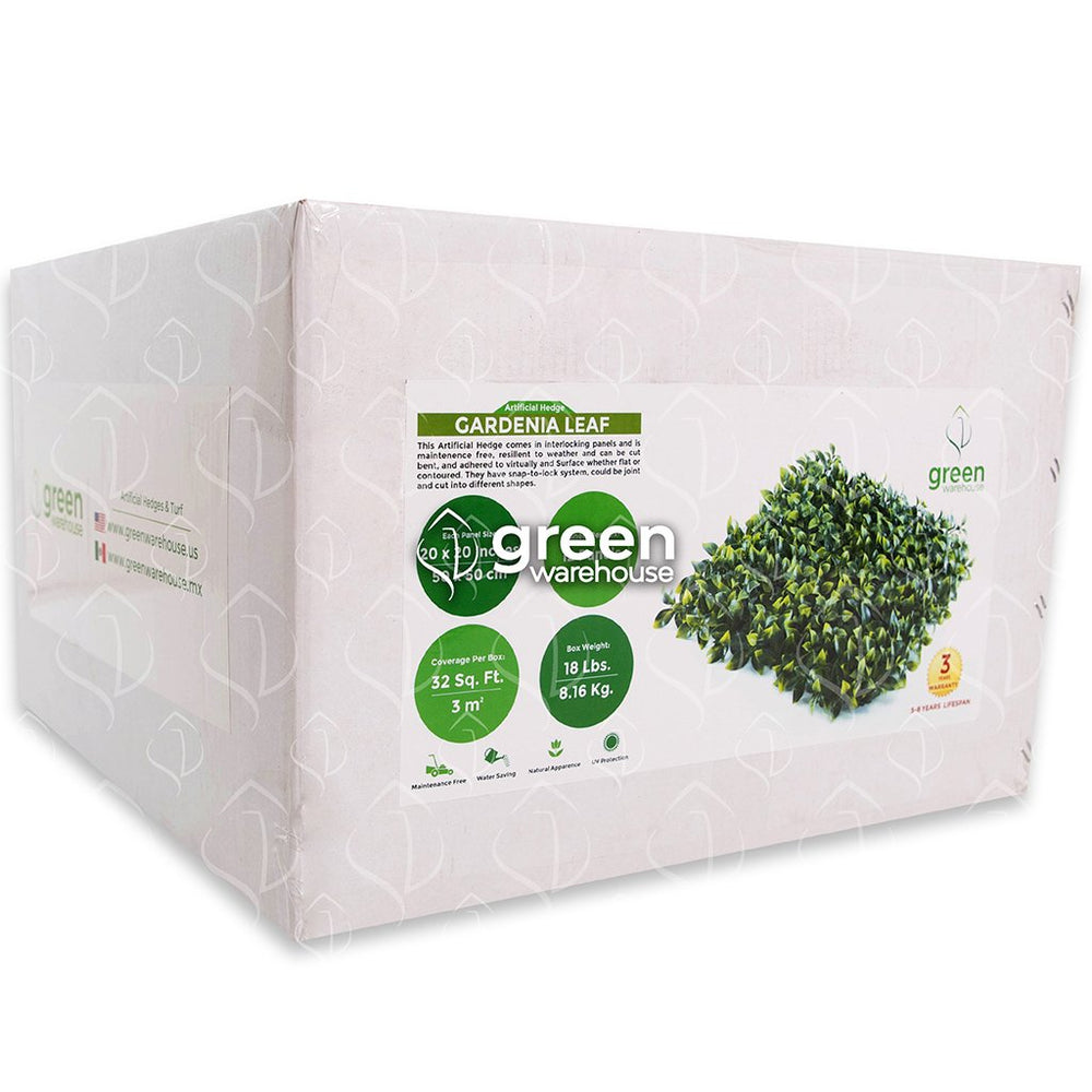Hoja de Gardenia - 1m²