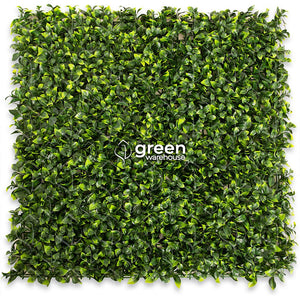 Hoja de Gardenia - 1m²