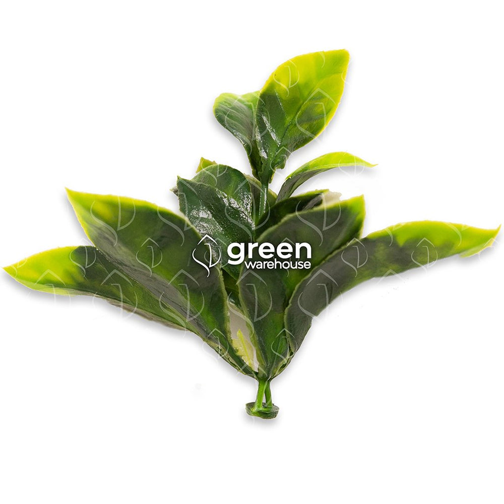 El Follaje Artificial Hoja de Gardenia se caracteriza porque tiene hojas medianas con una excepcional textura, en tonalidades de verde con puntas más brillantes.