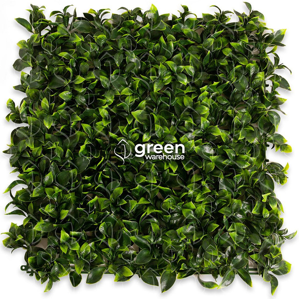 Hoja de Gardenia - 1m²
