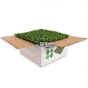 El Follaje Artificial Jazmín, es ideal para decoraciones sobrias y elegantes gracias a sus pequeñas hojas verde oscuro y verde brillante, complementado con discretas flores blancas que ofrecen apariencia fresca y natural. Es un Follaje que por sí solo puede darle vida a Muros Verdes, sin embargo, también es el favorito para combinarlo con follajes de otros colores y resalar aún más la Flor blanca de este Follaje Jazmín. Hacemos envíos a todo México. 