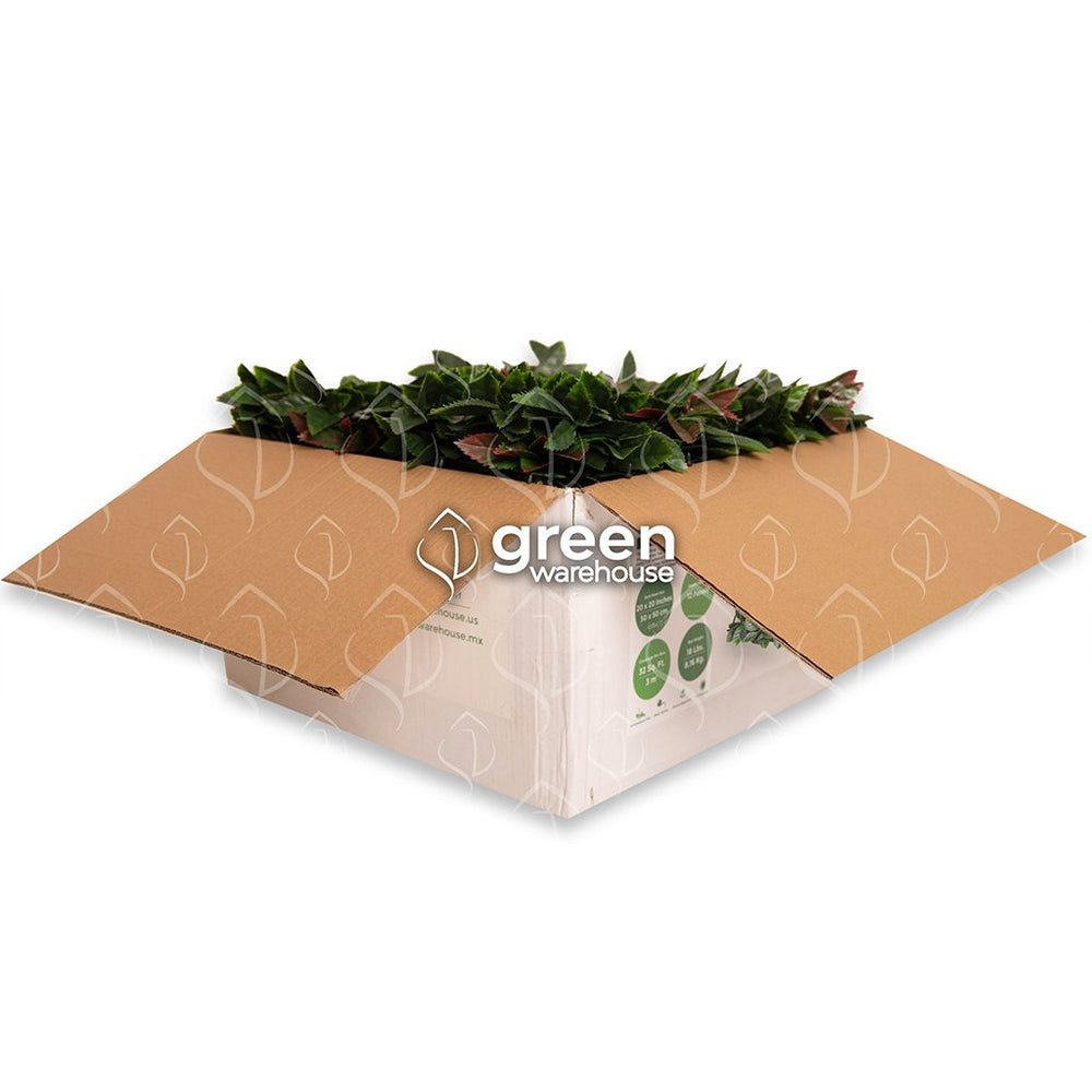 El Follaje Artificial Laurel, nos regala una hoja decidida y exquisita en detalles naturales, entrega personalidad a espacios con estilo de alto diseño, la hoja de Laurel cubre superficies de manera propositiva y elegante. Hacemos envíos a todo México. 