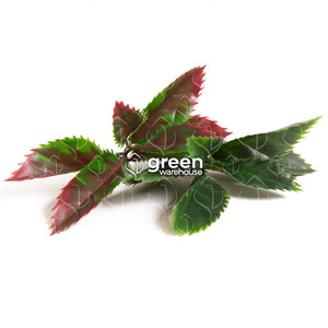 El Follaje Artificial Laurel, nos regala una hoja decidida y exquisita en detalles naturales, entrega personalidad a espacios con estilo de alto diseño.