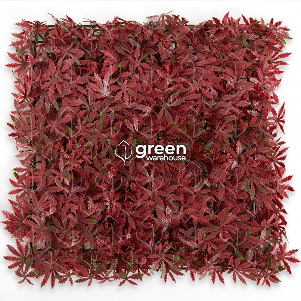 Maple - 1m²