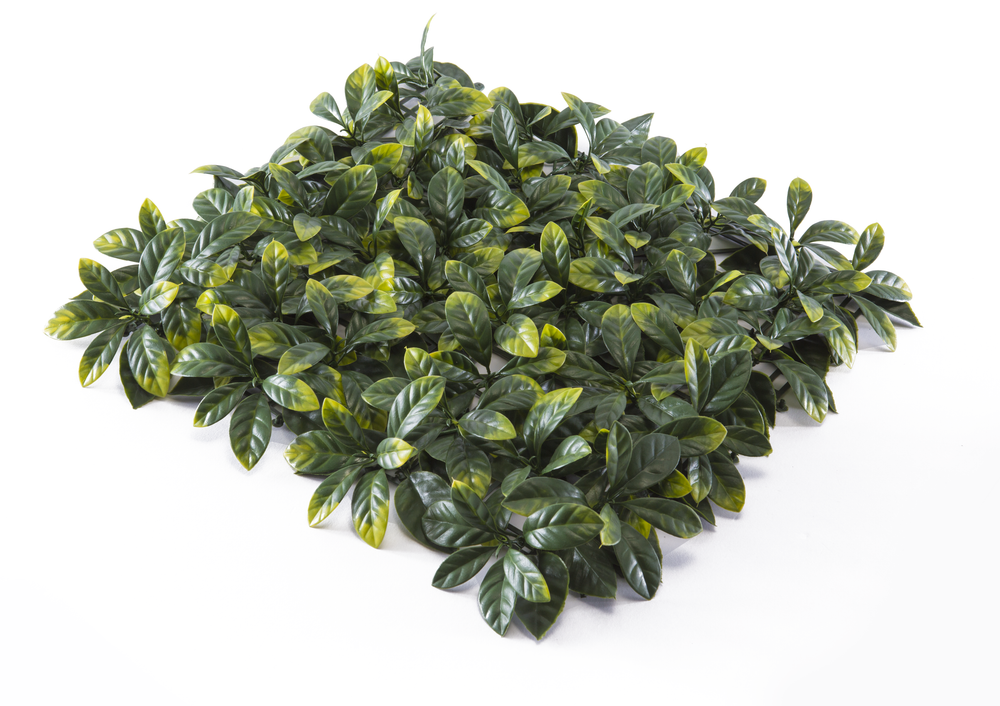 El Follaje Artificial Osmanthus tiene hojas grandes, en tonalidad verde intenso y vibrante que, de manera muy cercana al real, se difumina en las puntas con un tono amarillo. Te permitirá crear una superficie original. Hacemos envíos a todo México. 