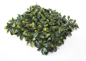 El Follaje Artificial Osmanthus tiene hojas grandes, en tonalidad verde intenso y vibrante que, de manera muy cercana al real, se difumina en las puntas con un tono amarillo. Te permitirá crear una superficie original. Hacemos envíos a todo México. 