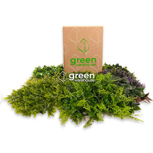 En Green Warehouse ofrecemos muestrarios de nuestros modelos tanto de Follajes Artificiales y Pastos Sintéticos. Es compacto, ligero y fácil de transportar; pensado especialmente para que puedas conocer la variedad de productos, ya seas un distribuidor o simplemente para conocer los modelos con los que quieres construir tu espacio. Hacemos envíos a todo México. 