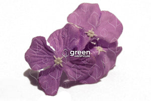 Panel de Flores Lily, es un modelo que se compone de flores de lilas, pequeñas, suaves y lisas con textura de línea de veta y bordes ondulados para un toque realista, perfecto para la decoración de interiores y muros en casas, estudios o negocios,  reflejando un aspecto juvenil y atrevido. 