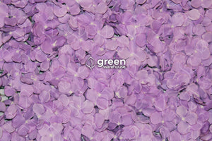 Panel de Flores Lily, es un modelo que se compone de flores de lilas, pequeñas, suaves y lisas con textura de línea de veta y bordes ondulados para un toque realista, perfecto para la decoración de interiores y muros en casas, estudios o negocios,  reflejando un aspecto juvenil y atrevido. 
