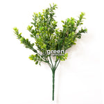 Flor de Boxwood