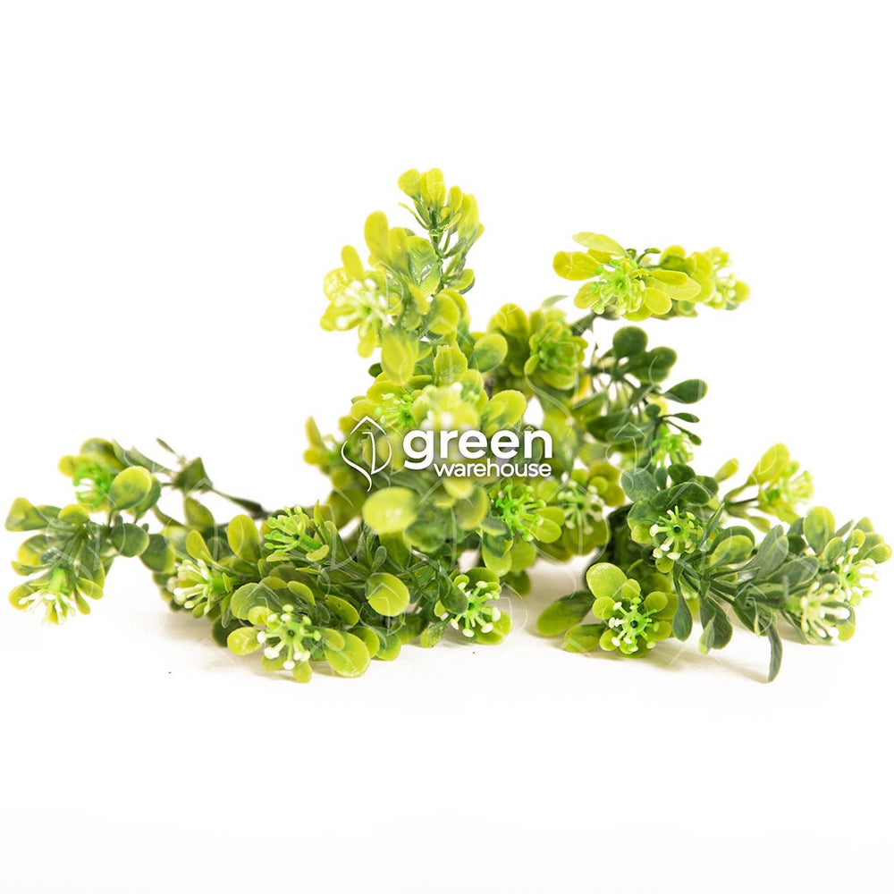 Las Flores de Boxwood son un gran contribuyente en nuestros productos de jardines verticales artificiales, plantas artificiales en macetas y cestas colgantes artificiales. El tamaño ligero y pequeño permite que las ramas artificiales quepan en cualquier lugar.