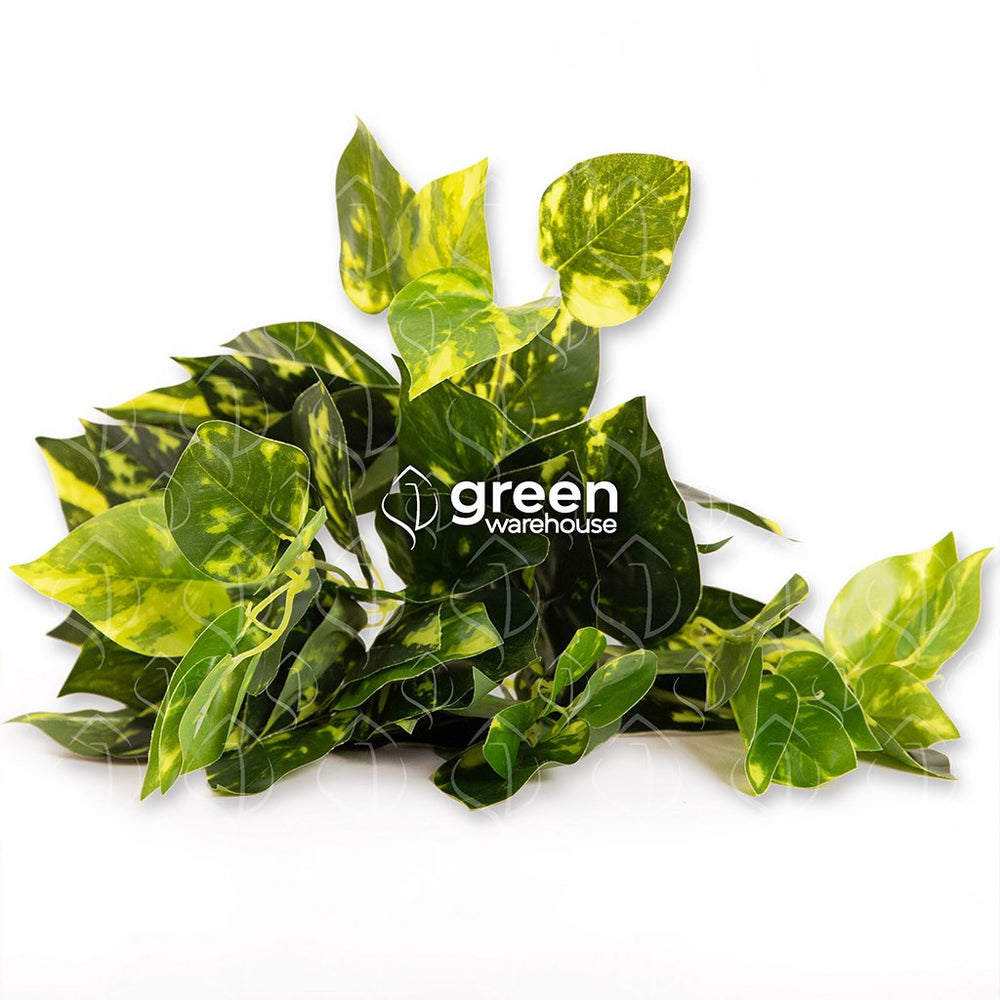 La Planta Artificial Julieta es una planta que tiene hojas en forma de corazón a dos tonos, verde obscuro y verde claro ideales para generar acentos en espacios que requieren más de un bonito realce.