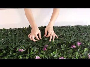 
                
                    Cargar y reproducir el video en el visor de la galería, Azalea - 1m²
                
            