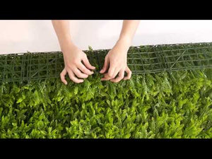 
                
                    Cargar y reproducir el video en el visor de la galería, El Follaje Artificial Helecho Japonés los caracteriza su acabado texturizado con un color amarillo verdoso para lograr la apariencia fresca de helecho. Llena de vida y contrasta perfectamente con colores fuertes y oscuros, generando una atmósfera de humedad y frescura, así como un realismo sin igual. Es la opción favorita para diseñar Muros Verdes a lado de otros follajes para lograr la armonía y el aspecto que se busca. Hacemos envíos a todo México.
                
            
