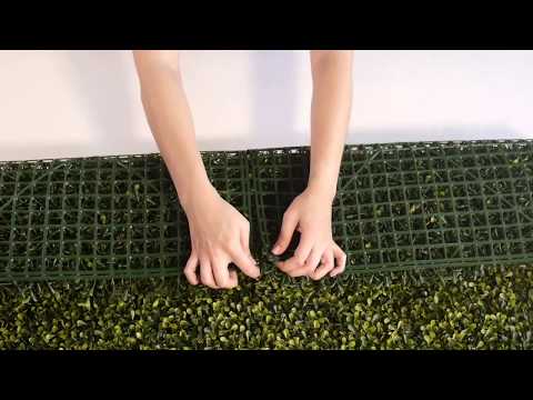 
                
                    Cargar y reproducir el video en el visor de la galería, El Follaje Boxwood Real es un follaje abundante y espeso con hojas finas que presentan colores verde olivo con amarillo. Es ideal para espacios en donde se requiera dar una apariencia tersa y homogénea, además para realizar contrastes en combinación con follajes o texturas de hojas más grandes.
                
            