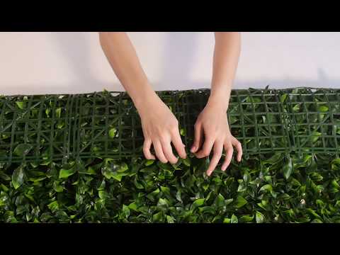 
                
                    Cargar y reproducir el video en el visor de la galería, El Follaje Artificial Hoja de Gardenia se caracteriza porque tiene hojas medianas con una excepcional textura, en tonalidades de verde con puntas más brillantes, lo hacen ideal para contrastar con otros modelos o usarlo uniformemente. Este modelo siempre ha sido el más popular y el preferido tanto para instalar solo o combinarlo en un Muro Verde personalizado. Hacemos envíos a todo México. 
                
            