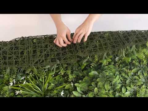 
                
                    Cargar y reproducir el video en el visor de la galería, El encanto del Follaje Aralia, se debe a la cantidad de detalle con acabados y variedad de hojas en combinación de flores de orquídea y diferentes helechos, imparten un aspecto denso y natural, perfecto donde se requiere un diseño de Muro Verde complejo. Este es el único modelo que viene con incrustaciones de Follajes 3d, lo que le da un realce espectacular.
                
            